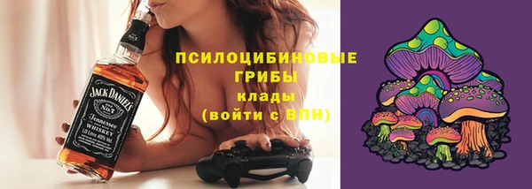 ГАЛЛЮЦИНОГЕННЫЕ ГРИБЫ Балахна