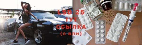 ГАЛЛЮЦИНОГЕННЫЕ ГРИБЫ Балахна