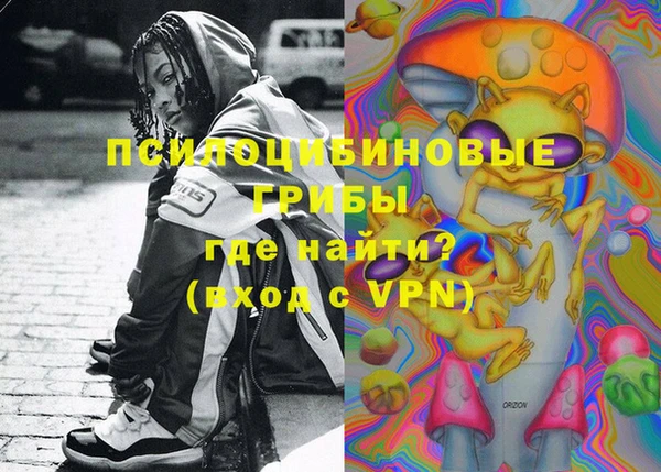 ГАЛЛЮЦИНОГЕННЫЕ ГРИБЫ Балахна