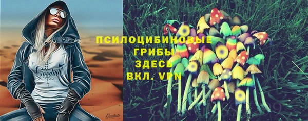 ГАЛЛЮЦИНОГЕННЫЕ ГРИБЫ Балахна