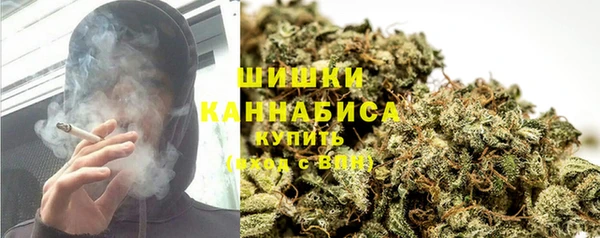 ГАЛЛЮЦИНОГЕННЫЕ ГРИБЫ Балахна