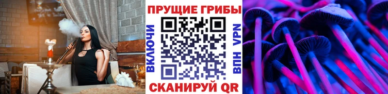Псилоцибиновые грибы GOLDEN TEACHER  Болхов 