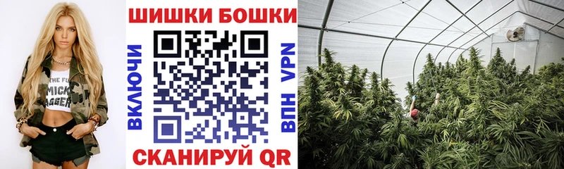 Бошки марихуана Amnesia  Болхов 